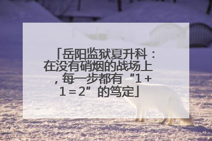岳阳监狱夏升科：在没有硝烟的战场上，每一步都有“1＋1＝2”的笃定