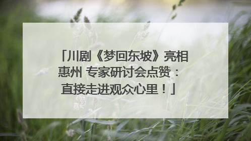 川剧《梦回东坡》亮相惠州 专家研讨会点赞：直接走进观众心里！
