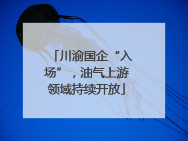 川渝国企“入场”，油气上游领域持续开放