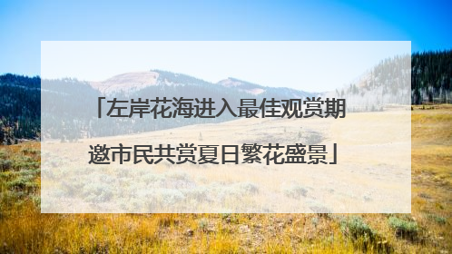左岸花海进入最佳观赏期 邀市民共赏夏日繁花盛景