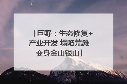 巨野：生态修复+产业开发 塌陷荒滩变身金山银山