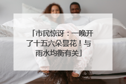市民惊讶：一晚开了十五六朵昙花！与雨水均衡有关