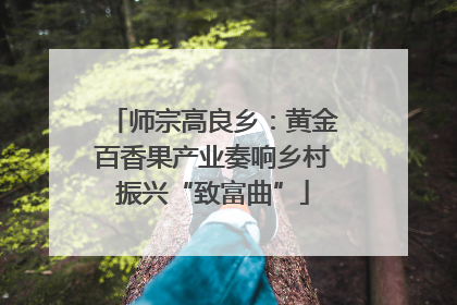 师宗高良乡：黄金百香果产业奏响乡村振兴“致富曲”