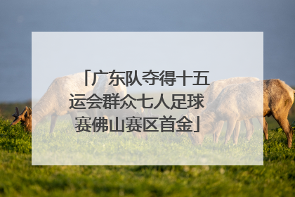 广东队夺得十五运会群众七人足球赛佛山赛区首金