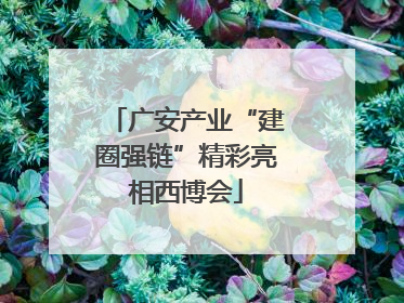 广安产业“建圈强链”精彩亮相西博会