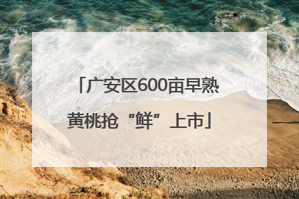 广安区600亩早熟黄桃抢“鲜”上市