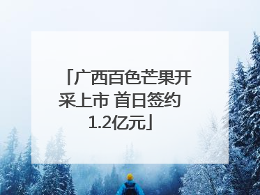 广西百色芒果开采上市 首日签约1.2亿元