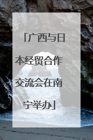 广西与日本经贸合作交流会在南宁举办