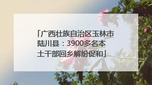 广西壮族自治区玉林市陆川县：3900多名本土干部回乡解纷促和