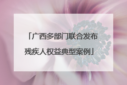 广西多部门联合发布残疾人权益典型案例