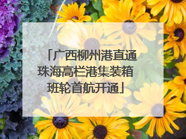 广西柳州港直通珠海高栏港集装箱班轮首航开通