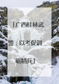 广西桂林武警：以考促训砺精兵