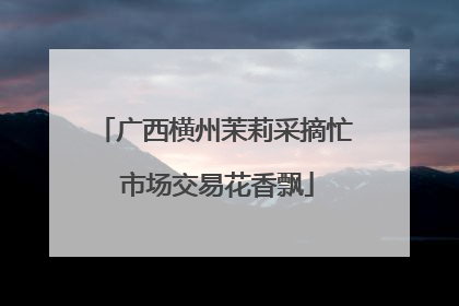 广西横州茉莉采摘忙 市场交易花香飘