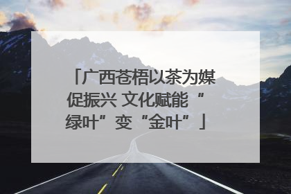 广西苍梧以茶为媒促振兴 文化赋能“绿叶”变“金叶”