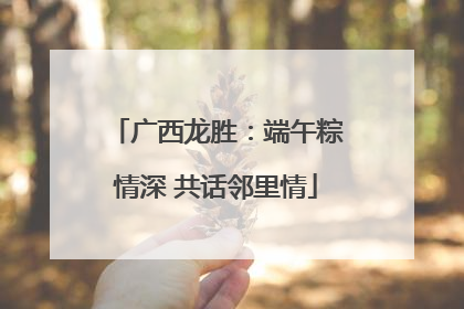 广西龙胜：端午粽情深 共话邻里情