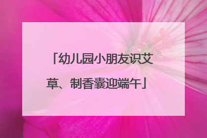 幼儿园小朋友识艾草、制香囊迎端午