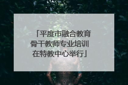 平度市融合教育骨干教师专业培训在特教中心举行
