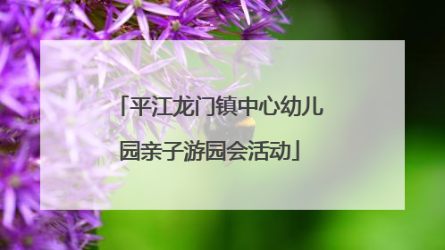 平江龙门镇中心幼儿园亲子游园会活动