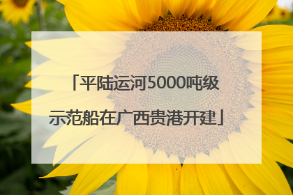 平陆运河5000吨级示范船在广西贵港开建