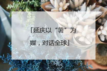延庆以“薯”为媒，对话全球