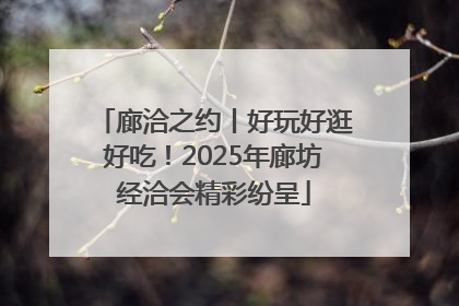 廊洽之约丨好玩好逛好吃！2025年廊坊经洽会精彩纷呈
