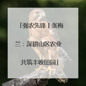 强农先锋丨张梅兰：深耕山区农业 共筑丰收田园
