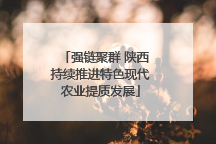 强链聚群 陕西持续推进特色现代农业提质发展