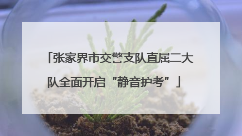 张家界市交警支队直属二大队全面开启“静音护考”