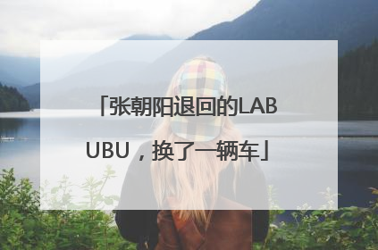 张朝阳退回的LABUBU，换了一辆车