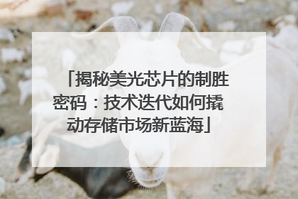 揭秘美光芯片的制胜密码：技术迭代如何撬动存储市场新蓝海