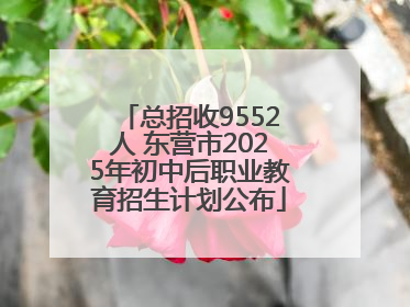 总招收9552人 东营市2025年初中后职业教育招生计划公布