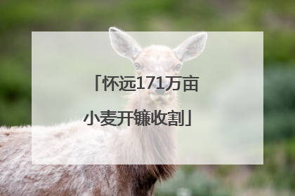 怀远171万亩小麦开镰收割