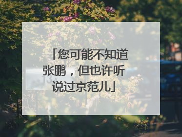 您可能不知道张鹏，但也许听说过京范儿