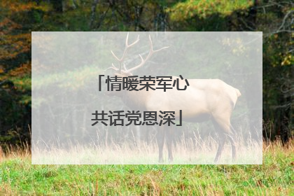 情暖荣军心 共话党恩深