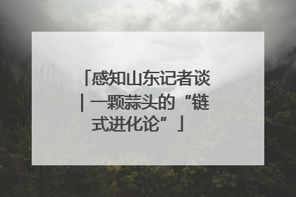 感知山东记者谈｜一颗蒜头的“链式进化论”