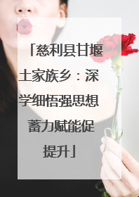 慈利县甘堰土家族乡：深学细悟强思想 蓄力赋能促提升