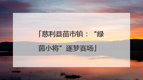 慈利县苗市镇：“绿茵小将”逐梦赛场