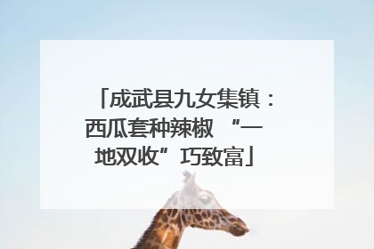 成武县九女集镇：西瓜套种辣椒 “一地双收”巧致富