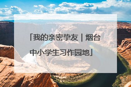 我的亲密挚友｜烟台中小学生习作园地