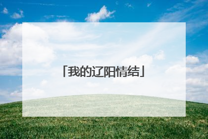 我的辽阳情结