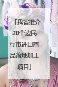 我省推介20个边民互市进口商品落地加工项目