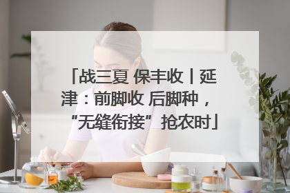 战三夏 保丰收丨延津：前脚收 后脚种，“无缝衔接”抢农时
