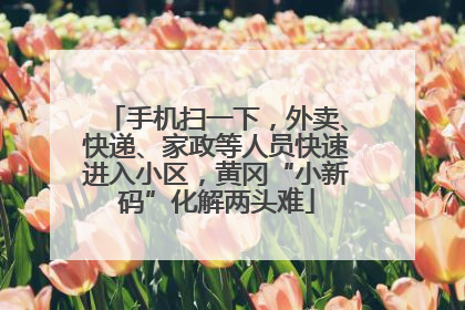 手机扫一下，外卖、快递、家政等人员快速进入小区，黄冈“小新码”化解两头难