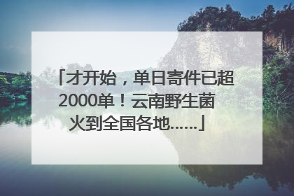 才开始，单日寄件已超2000单！云南野生菌火到全国各地……