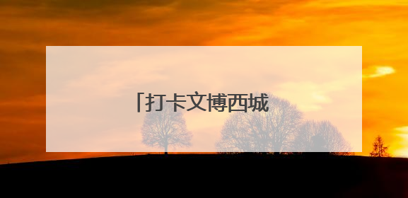 打卡文博西城 解锁端午楚韵