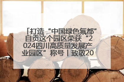 打造“中国绿色氟都” 自贡这个园区荣获“2024四川高质量发展产业园区”称号丨致敬2024经济影响力人物
