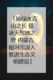 扬绿水青山之长 借冰天雪地之势 内蒙古根河市深入推进生态文明建设