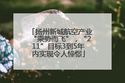 扬州新城航空产业“乘势而飞”，“211”目标3到5年内实现令人憧憬