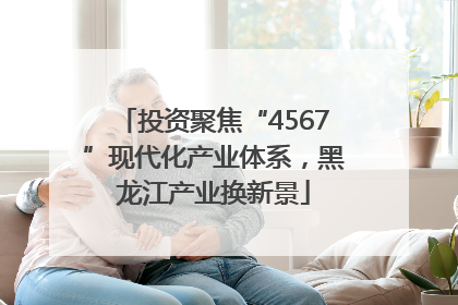 投资聚焦“4567”现代化产业体系，黑龙江产业换新景