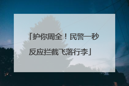 护你周全！民警一秒反应拦截飞落行李